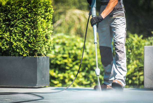 Best Fence Cleaning  in White Meadow Lake, NJ